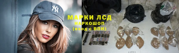 кокс Аркадак